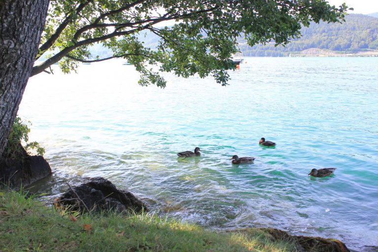 Klares Wasser am Privatstrand des Kusternighof